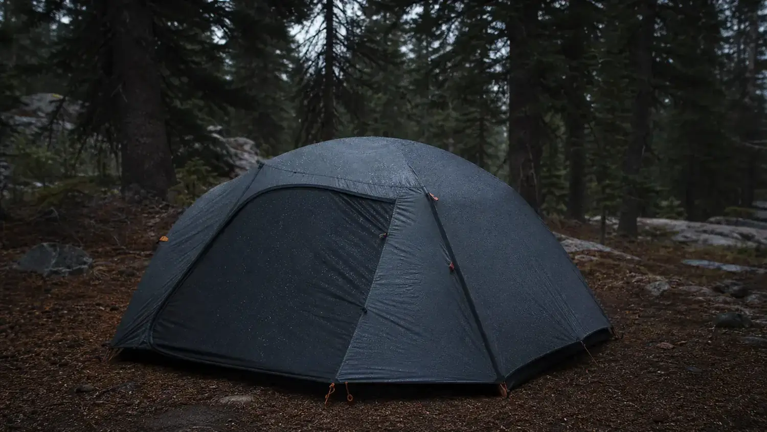 Coleman Sundome Dark Room Honest Review: What Nobody Tells You Before You Buy